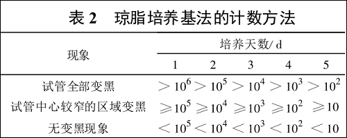 图片18