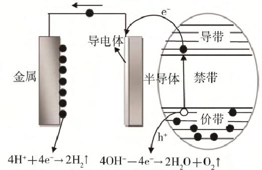 图片6